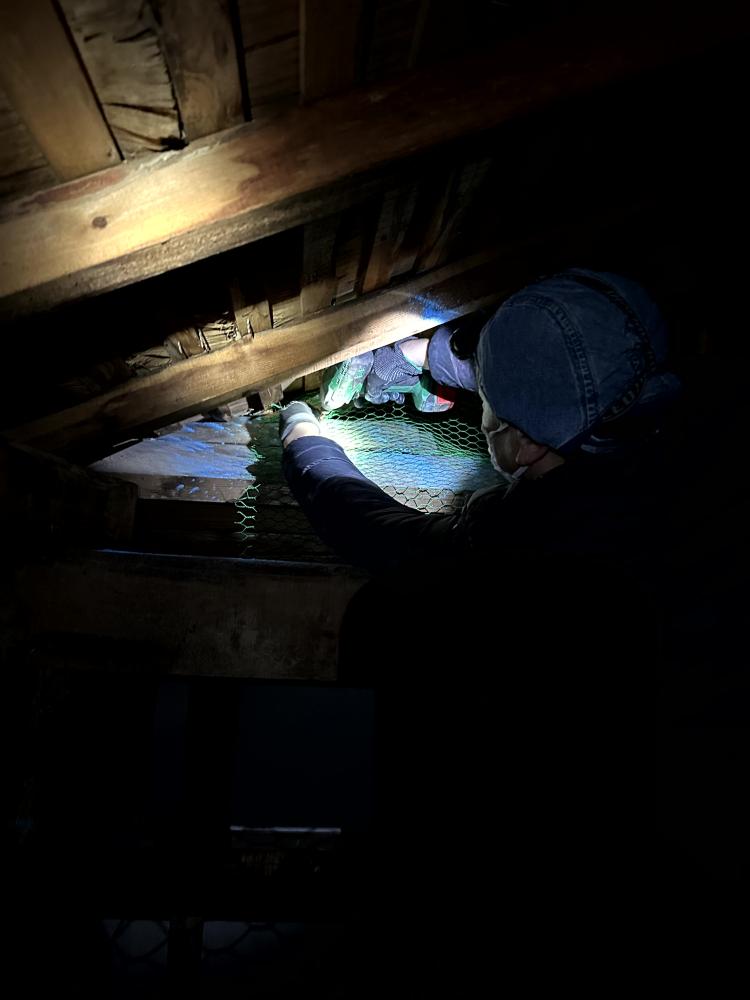 ハクビシン侵入防止対策